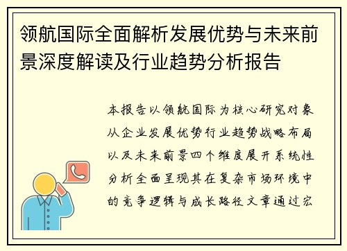 领航国际全面解析发展优势与未来前景深度解读及行业趋势分析报告